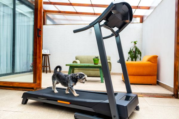 Cost of Treadmill Installation in Salem