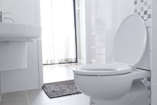 Cost of Toilet Seat Installation in Salem