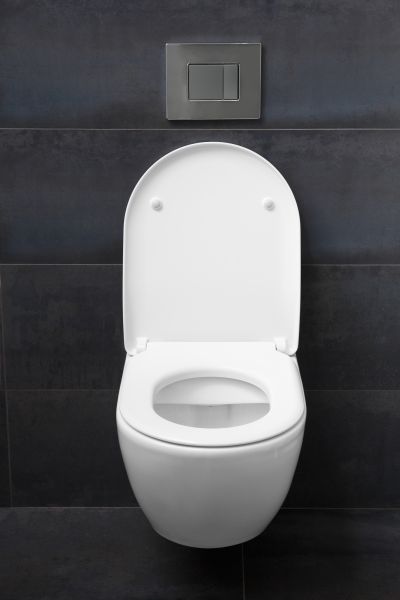 Cost of Toilet Lid Installation in Salem