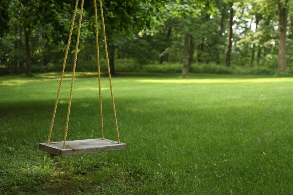 Cost of Rope Swing Installation in Salem