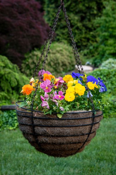 Cost of Hanging Basket Installation in Salem