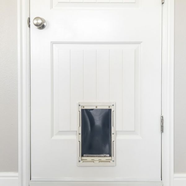 Cost of Pet Door Repair in Salem