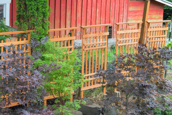 Wood Trellis Mounting in Salem