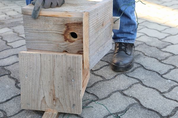 Cost of Birdhouse Mounting in Salem