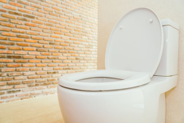 Cost of Toilet Seat Repair in Salem